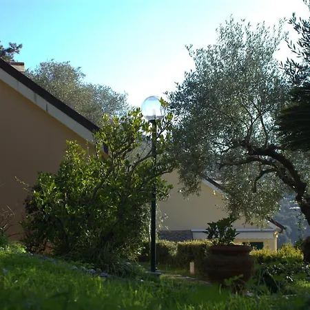 Dei Limoni *