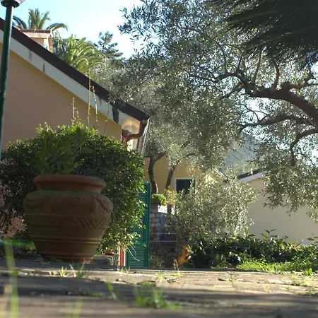 Dei Limoni